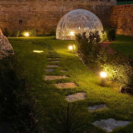 Chateau De Balleure Etrigny المظهر الخارجي الصورة