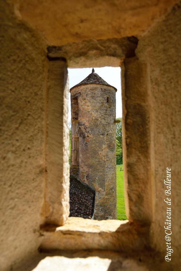Chateau De Balleure Etrigny المظهر الخارجي الصورة
