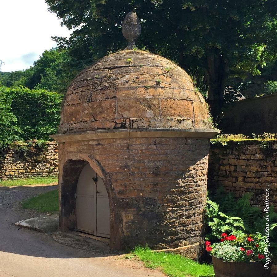Chateau De Balleure Etrigny المظهر الخارجي الصورة
